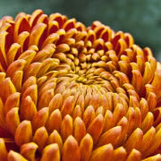 Pamiętajmy, że w listopadzie jest już dość...