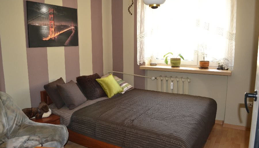 Co pasuje do ściany w pasy?