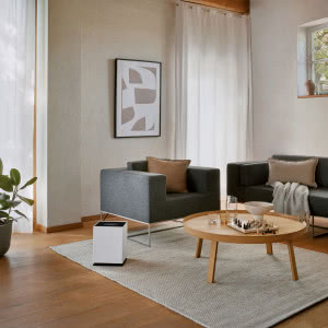 Sekret komfortowego mieszkania. Jak dobrać nawilżacz do metrażu oraz stylu i dlaczego design ma znaczenie?