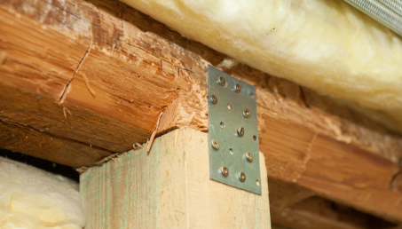 Jak zwalczać szkodniki drewna?