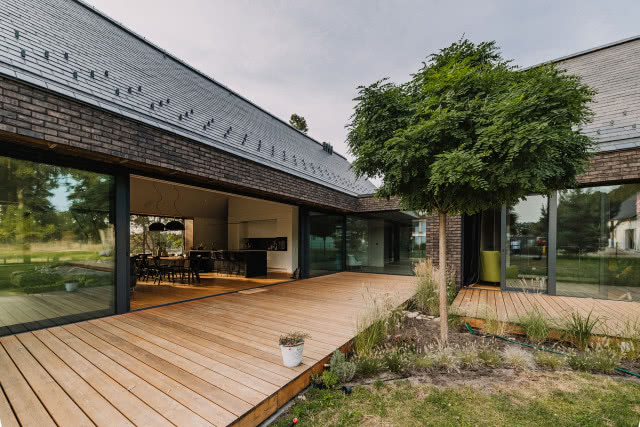 widok na taras i drzewo w tle