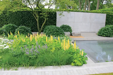 Ogród w stylu modern