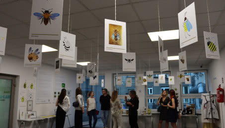 Polscy artyści ratują pszczoły! Wielka Wystawa Pszczół teraz także online!