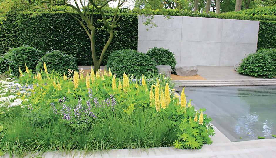 Ogród w stylu modern