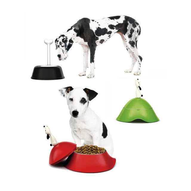 dwie miski, a przy nich psy