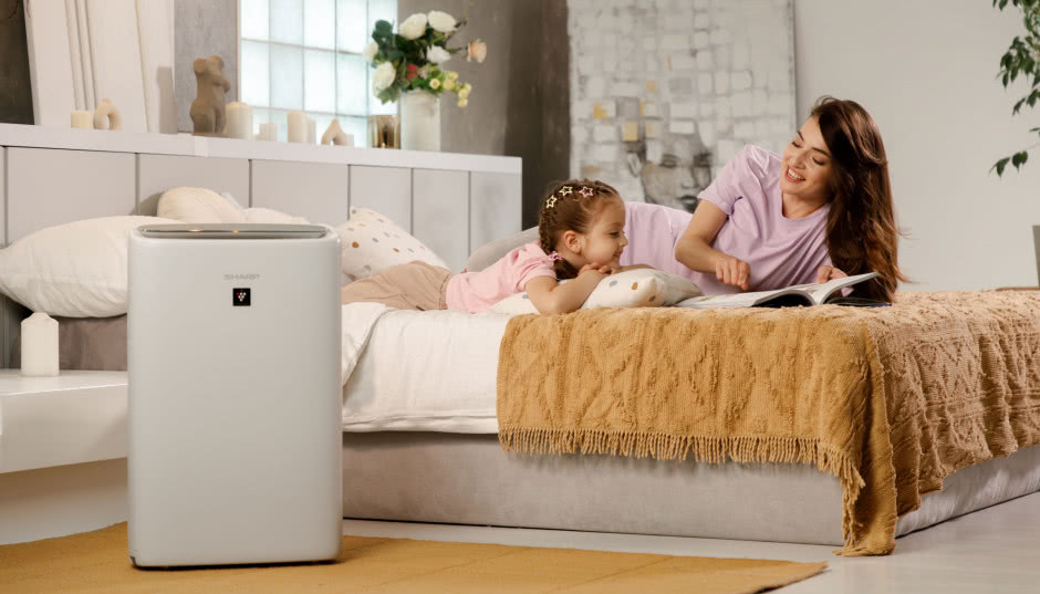 Dlaczego w sezonie jesienno-zimowym tak ważne jest nawilżanie powietrza?