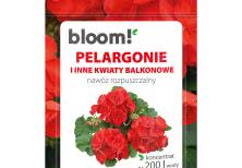 Pelargonie w rozkwicie! Sekret bujnego kwitnienia przez cały sezon 