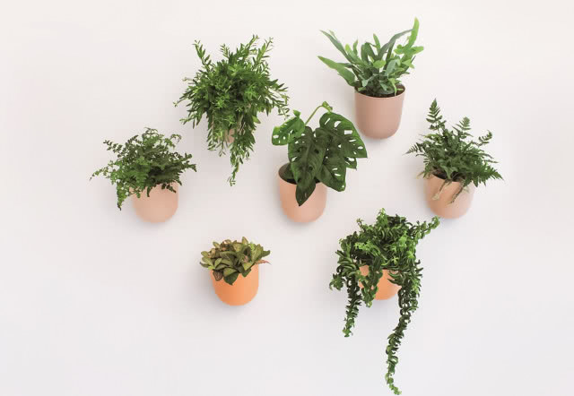 Poppy - doniczka pełna designu