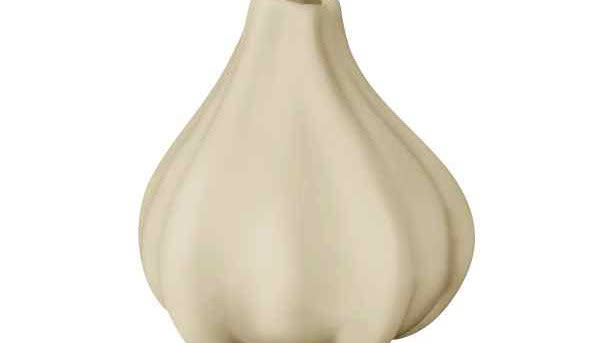 Naturalne piękno we wnętrzu