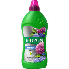 Sekret bujnych hortensji - jeden nawóz, który zmienia wszystko!