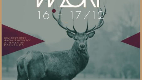 Czas na Wnętrze patronem targów WZORY!