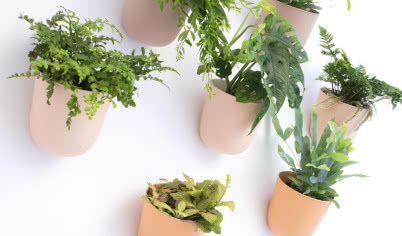 Poppy - doniczka pełna designu