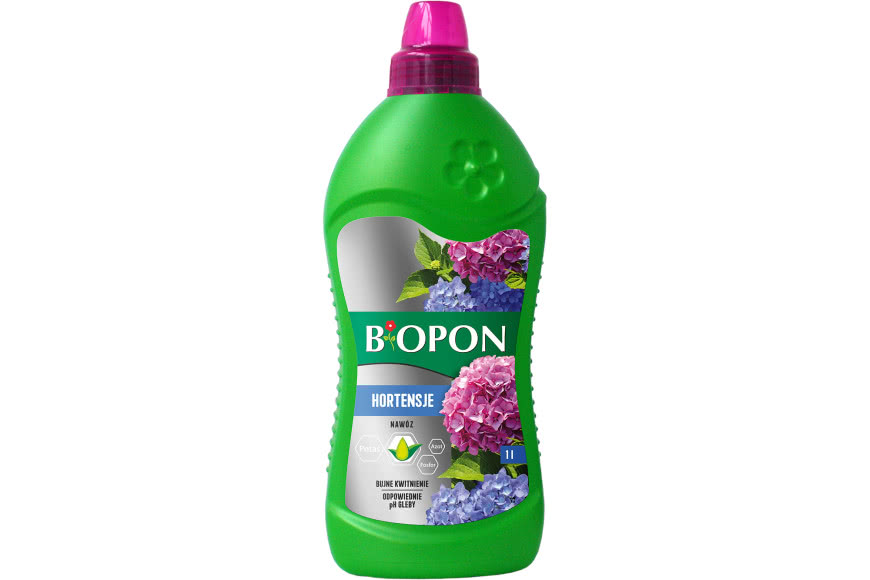 Sekret bujnych hortensji - jeden nawóz, który zmienia wszystko!