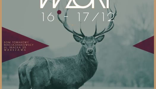 Czas na Wnętrze patronem targów WZORY!