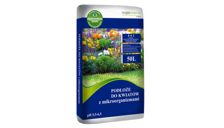 Jak zapewnić kwiatom najlepszy wzrost?