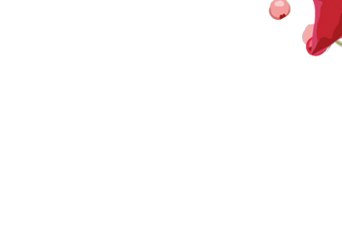 Największy serwis świąteczny!