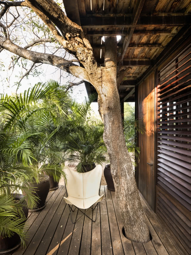 taras z leżakiem, przez konstrukcję przechodzi pień