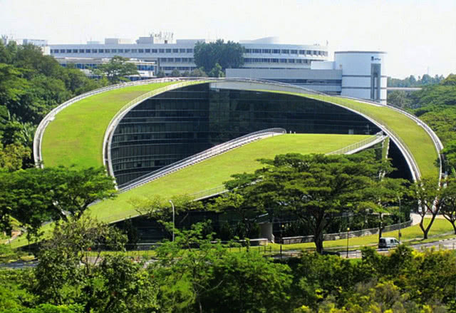 Szkoła w Singapurze z zielonym dachem