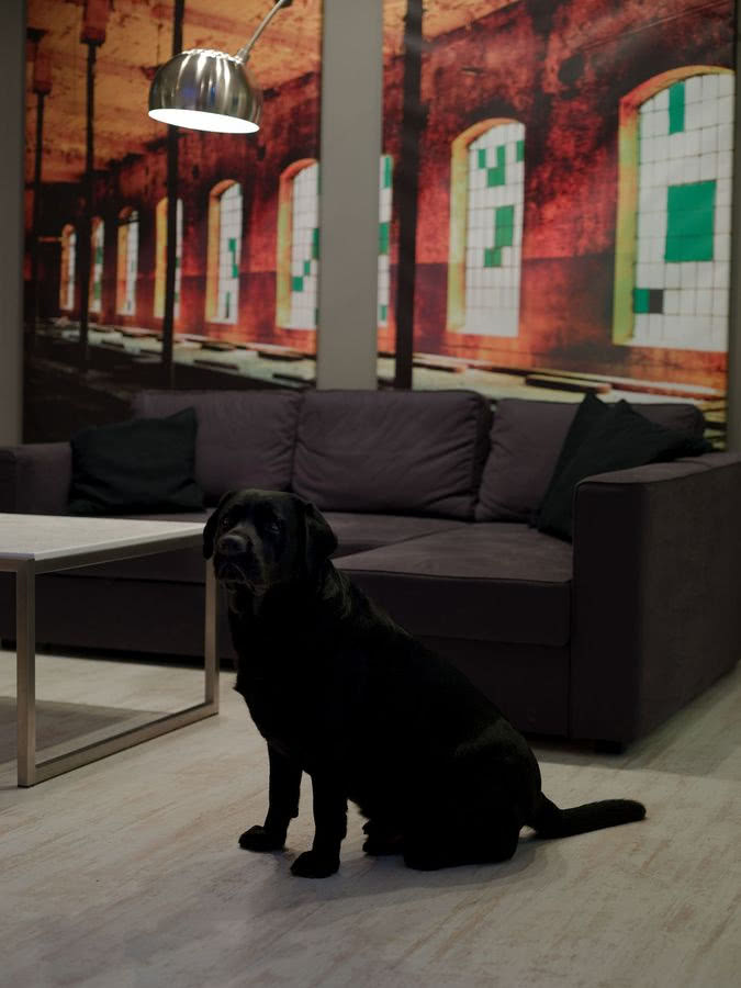 Mamy nieco przytartą podłogę, nierówności...