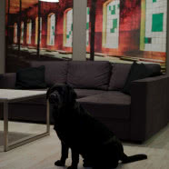 Lofty "U Scheiblera" - apartament w starej łódzkiej przędzalni