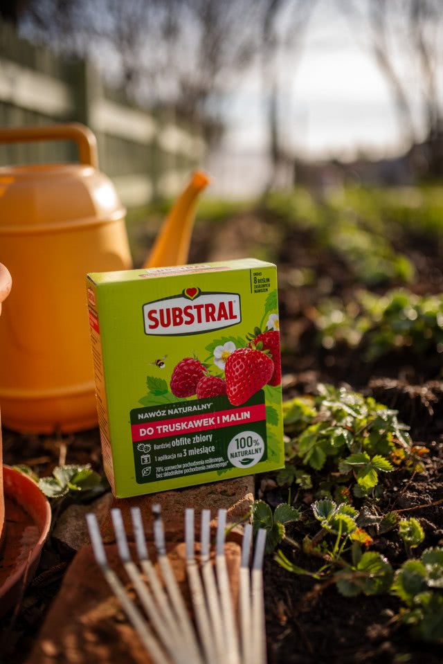 nawóz naturalny Substral do truskawek i malin