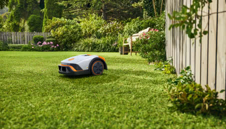 Odpowiednia pielęgnacja trawnika zapewni imponujące efekty