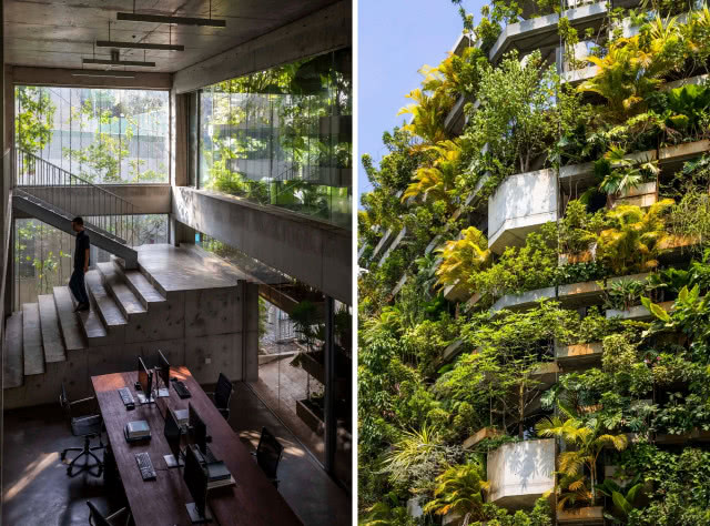 blok pokryty drzewami