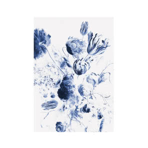 Fototapeta Royal Blue Flowers, KEK AMSTERDAM