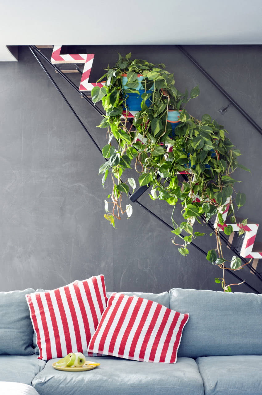 fot. Flower Council Holland