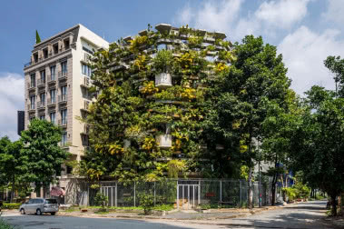 Biophilic design, czyli zielona architektura wraca do miast!