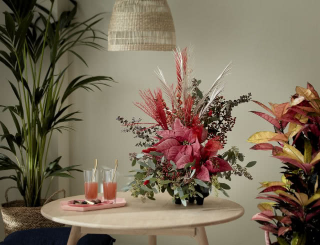 Kwiaty poinsecji czerwone, okrągły stół drewniany, lampa wiklinowa sufitowa, , 