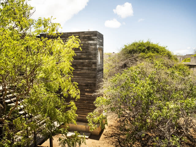 wieża wyłaniająca się zza drzew