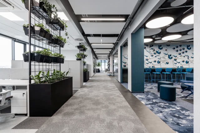 Leśny Ogród Botaniczny Marszewo. Projekt, który zmienił wszystko - wywiad z architektem Marcinem Gierbienisem