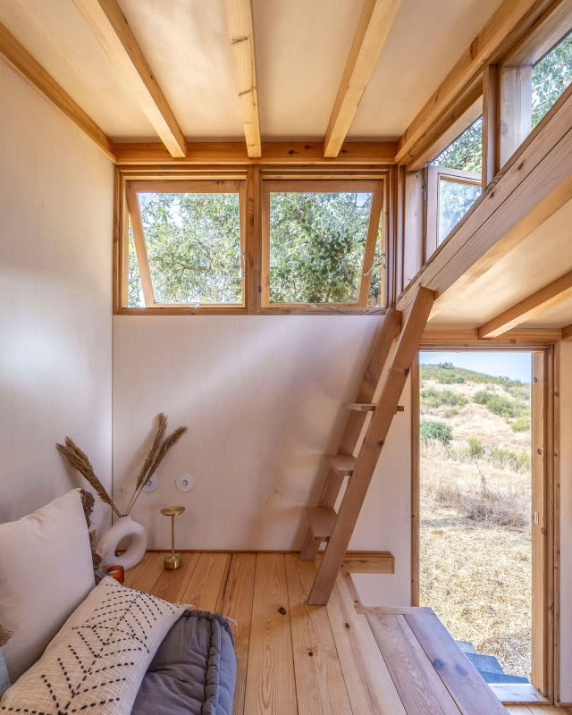 drabina na tle okna, prowadzi na dach