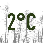 Wystawa nie-śmieci Rita Koralevics curl up, fot....