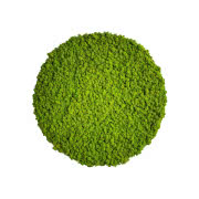 Sztuczny mech Faux w rolce, WESTWING, 89,90 złzł