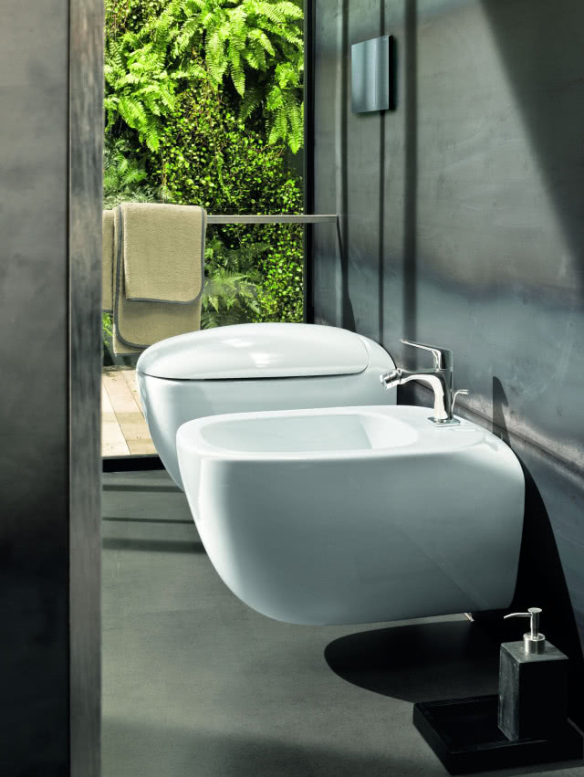 sedes, bidet, ręczniki, mydło w płynie, zieleń za oknem