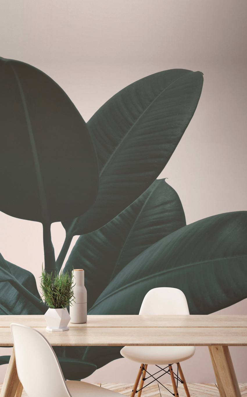 Intensywna, butelkowa zieleń na tle zgaszonego...