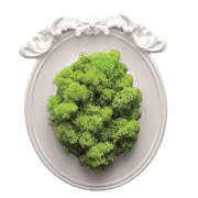 Sztuczny mech Faux w rolce, WESTWING, 89,90 złzł