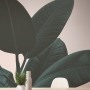 Tapeta ombre z motywem świerkowego lasu...