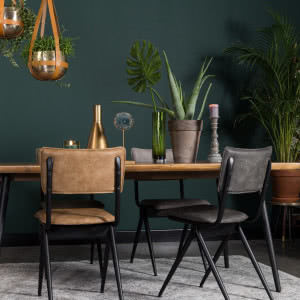 Miejska oaza - aranżacja wnętrza w zieleni