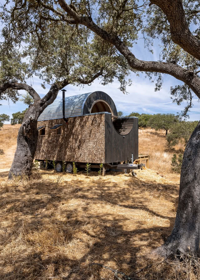 dom pośród drzew stoi na spalonej ziemi