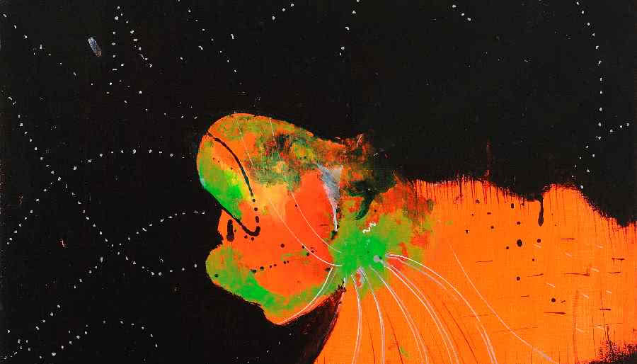 Julia Curyło. Cząstka H0