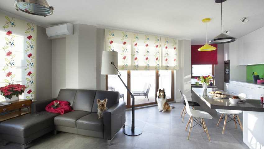 Cztery łapy i...
Zgodnie z założeniem...