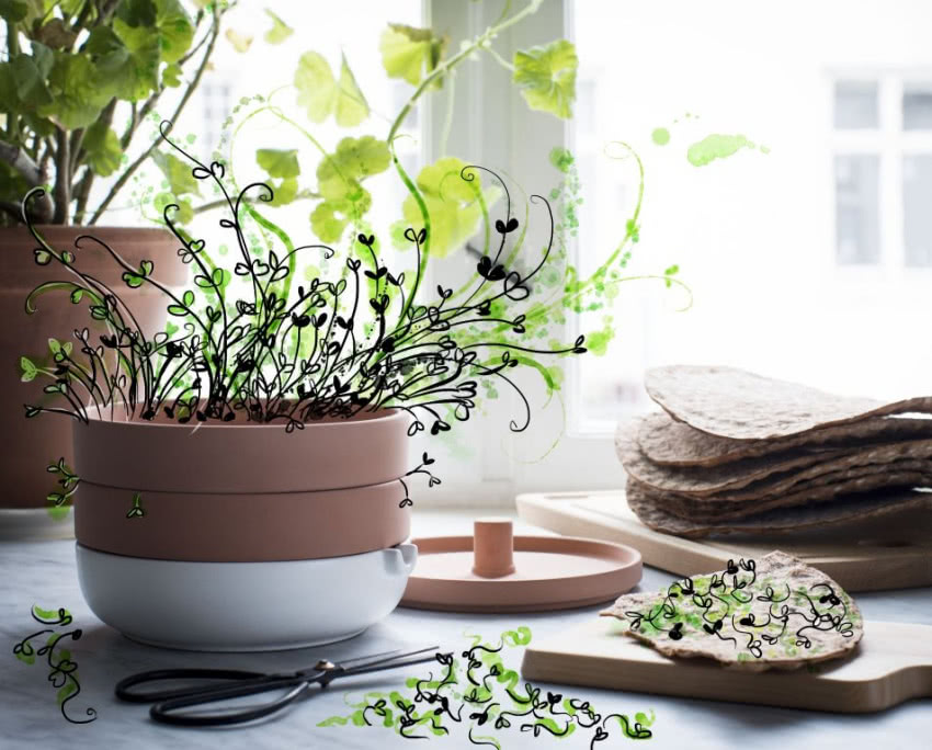 Gliniana kiełkownica ANVÄNDBAR to jeden z...