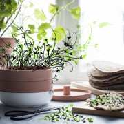 Nie masz miejsca na kwiaty? Z doniczkami...