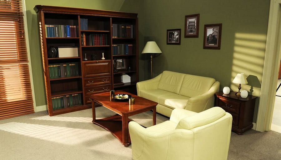 W serialu "Julia" grają... meble IMS