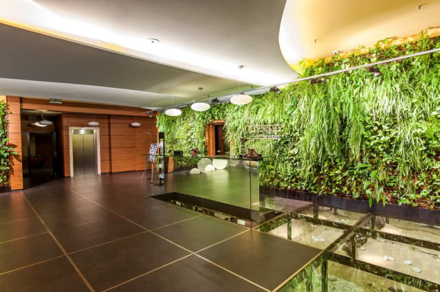 zielona ściana za plecami recepcjonistki