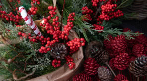 15 dekoracji świątecznych DIY last minut - tanie i szybkie ozdoby z gałązek, szyszek i owoców