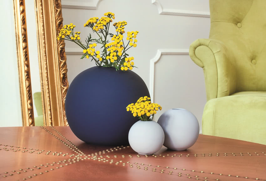 Wrotycz pospolity, na który większość z nas nie...